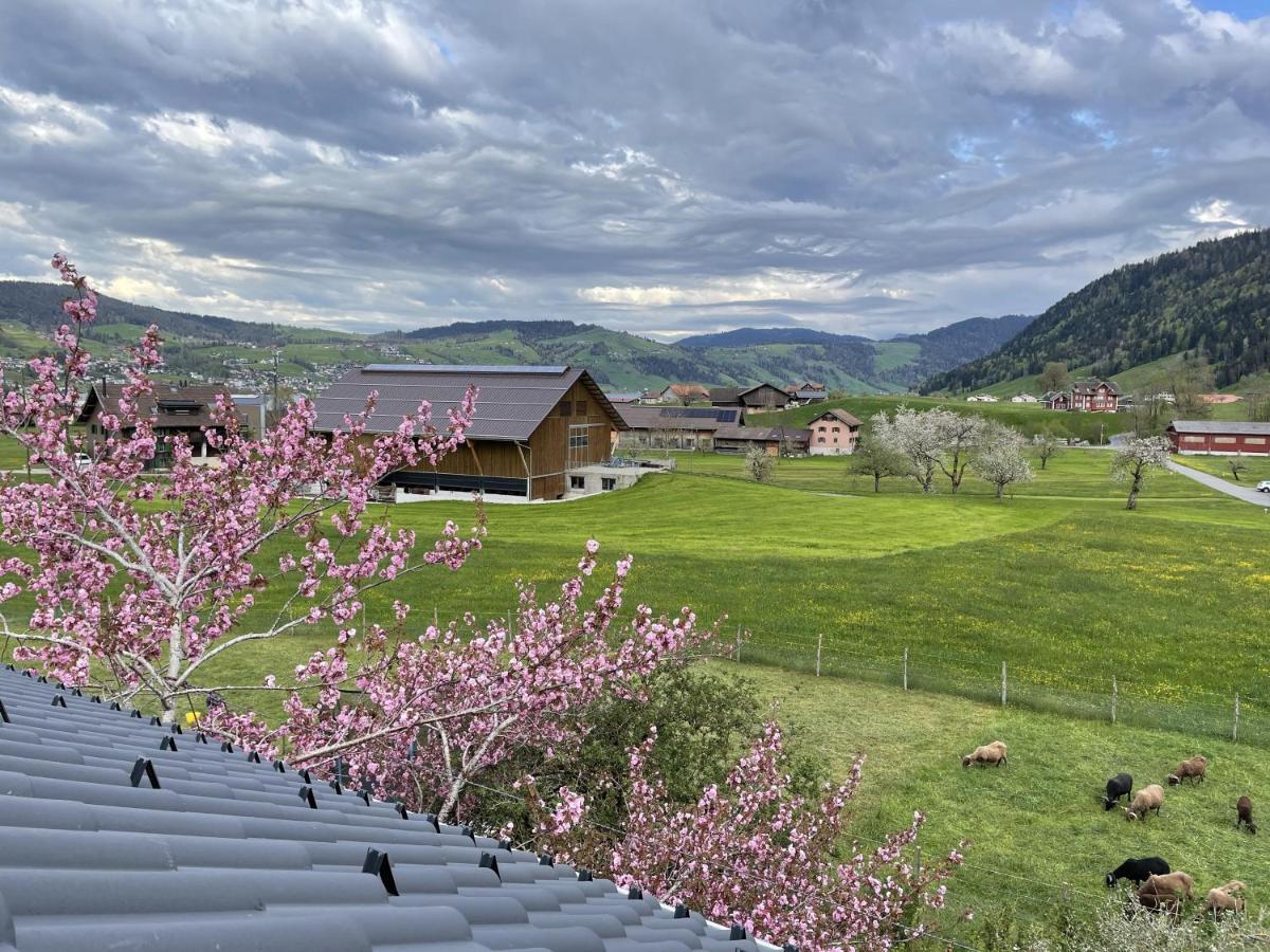 Naturnoech Unterägeri Exterior foto