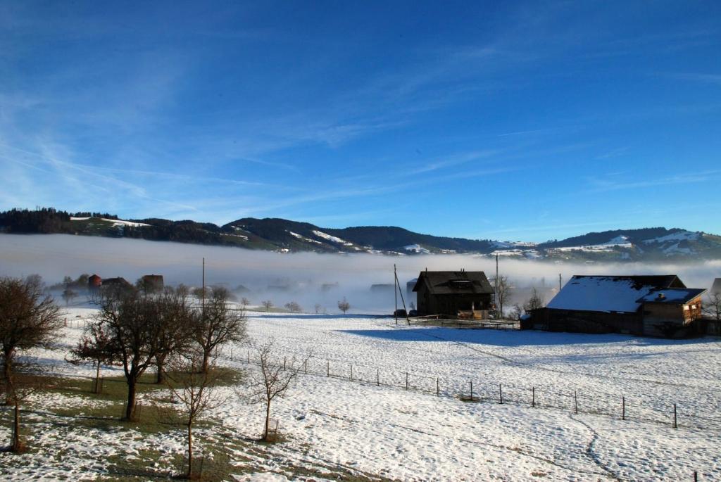 Naturnoech Unterägeri Quarto foto